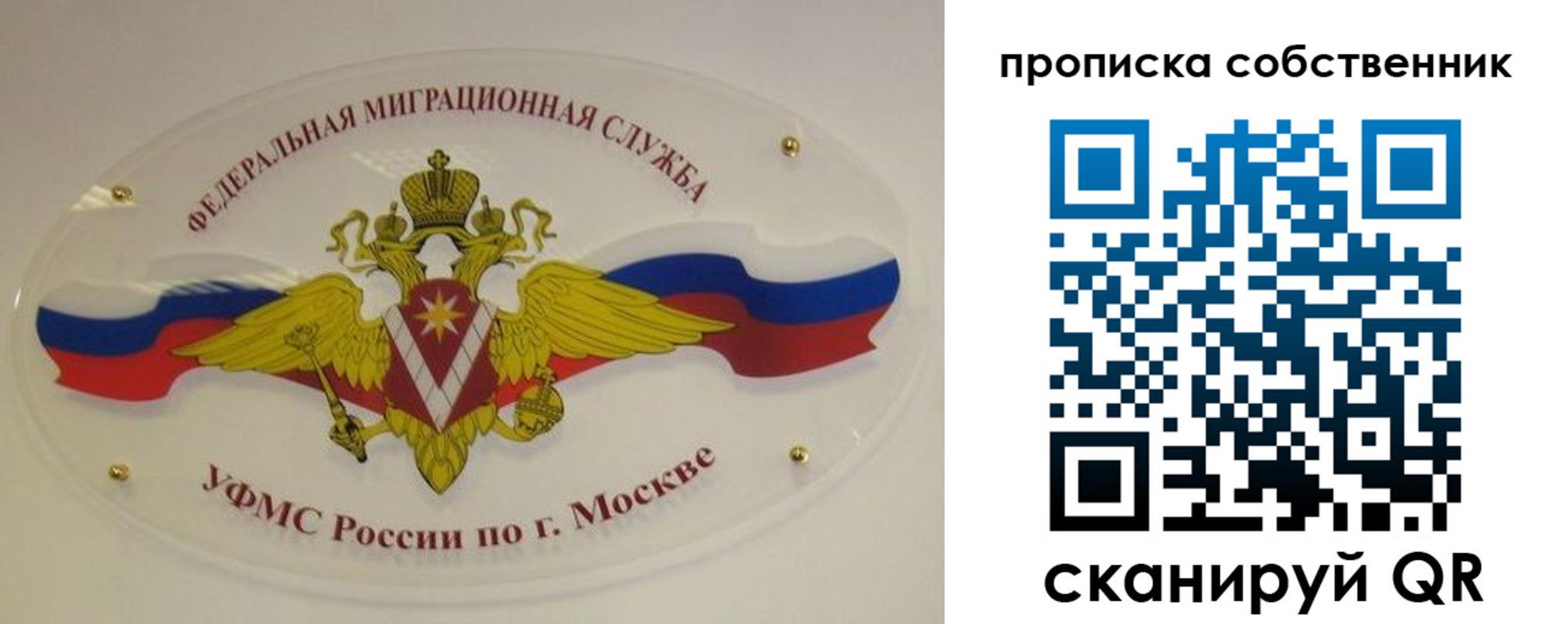 прописка 2025 в Родниках